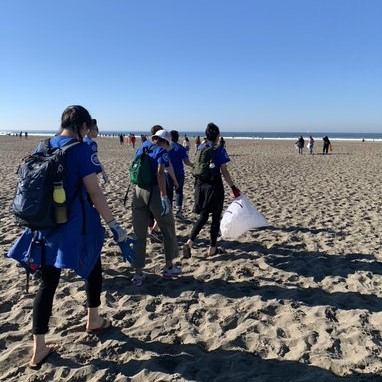 AmeriCorps members holding bags and wearing gloves, walking away from the camera and towards the ocean.