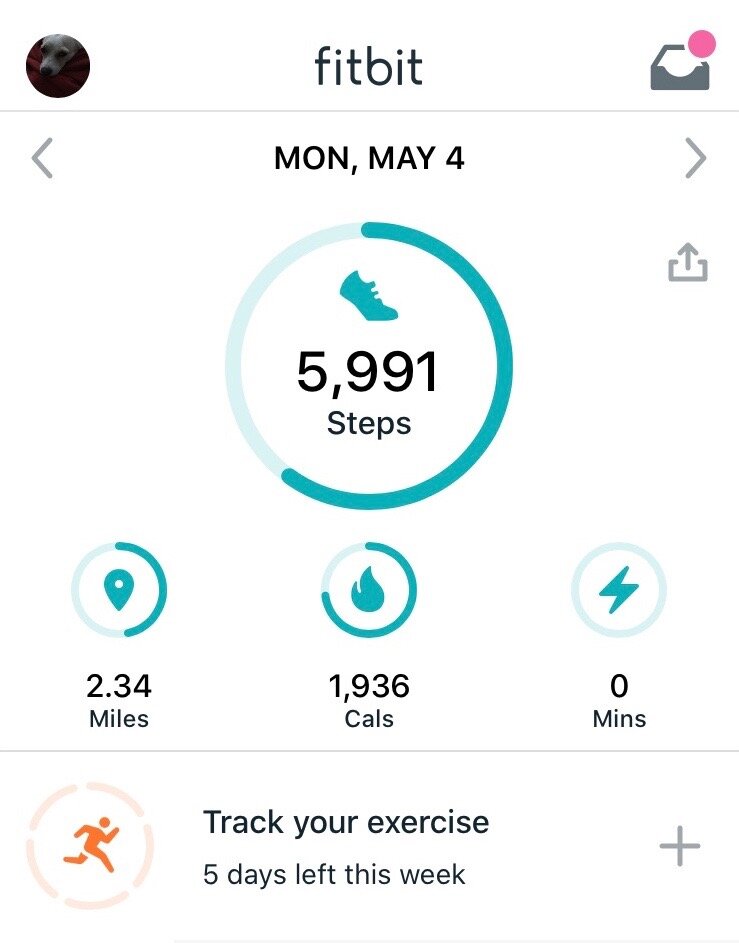 Fitbit app step count