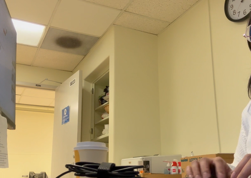 Yucca is seen conducting service at her desk. 