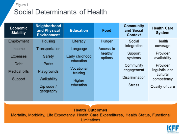 A table titled "Social Determinants of Health". The columns are titled, from left to right, Economic Stability, Neighborhood and Physical Environment, Education, Food, Community and Social Context, Health Care System. C1: Employment, Income, Expenses, Debt, medical bills, support. C2: Housing, Transportation, Safety, parks, Playgrounds, Walkability. C3: Literacy, language, early childhood education, vocational training, higher education. C4: Hunger, Access to healthy options. C5: Community and Social Context. C6: Health Coverage, Provider Availability, Provider Linguistic and cultural competency, quality ofcare. Below the table is the impacted Health Outcomes, where the following are listed: mortality, morbidity, life expectancy, health care expenditures, health status, functional limitations.  