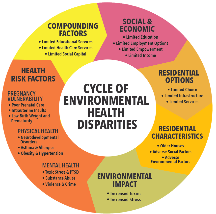 A colorful circle surrounding the words "cycle of environmental health disparities" around the circle there are sections titled compounding factors, social & economic, residential options, residential characteristics, environmental impact, and health risk factors